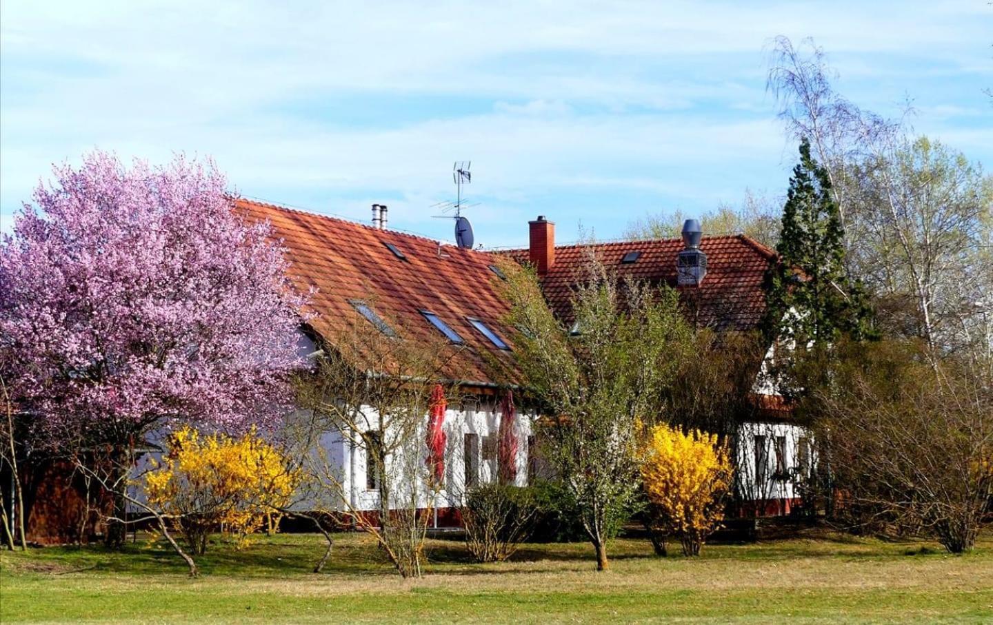 Kigyosi Csarda & Panzio Bed & Breakfast Fulopszallas Bagian luar foto